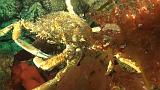 2011-06-15 16-58-55 UK_11